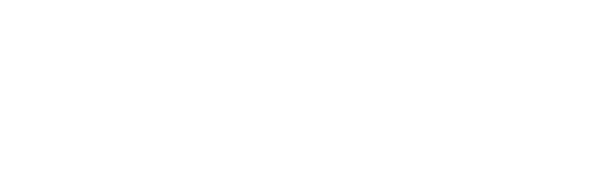 UMSAPP Logo